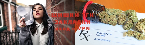 дживик Верхний Тагил