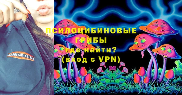 дживик Верхний Тагил