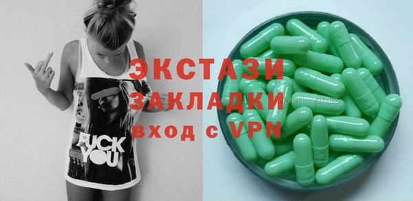 дживик Верхний Тагил