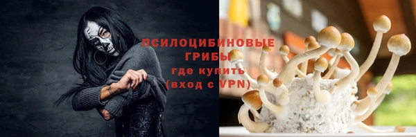 дживик Верхний Тагил