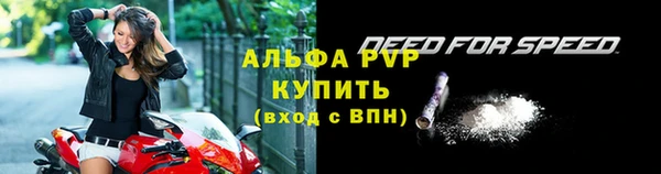 дживик Верхний Тагил