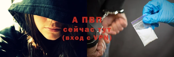 гидра Верея