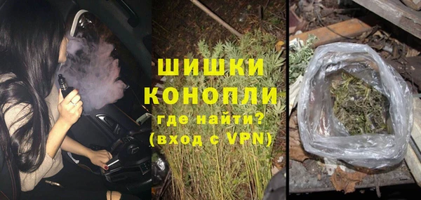 дживик Верхний Тагил