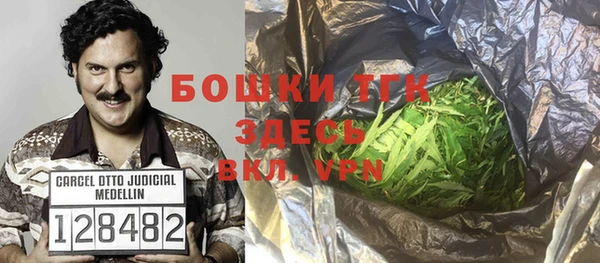 гидра Верея