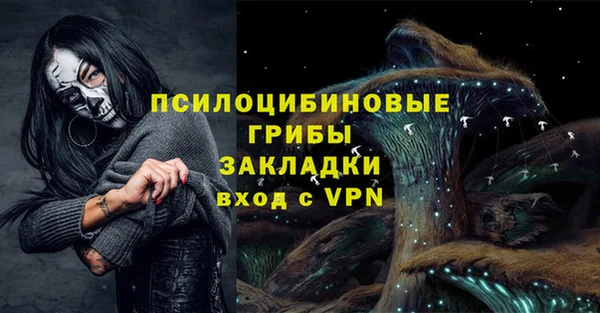 дживик Верхний Тагил