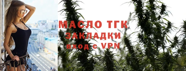 дживик Верхний Тагил