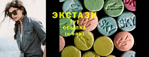 дживик Верхний Тагил