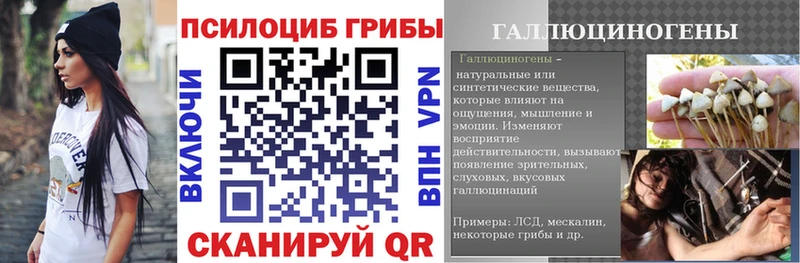 где можно купить наркотик  Оханск  Галлюциногенные грибы Psilocybe 